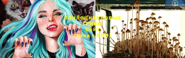 MESCALINE Богданович