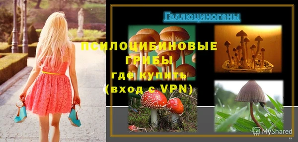 MESCALINE Богданович