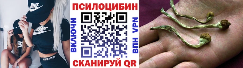 наркотики  площадка Telegram  Галлюциногенные грибы Magic Shrooms  Богучар  kraken ТОР 