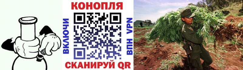 Шишки марихуана AK-47  мега сайт  Богучар 